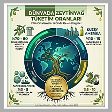 Zeytin takvimi 3