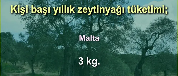 slider_kg_zeytinyag_dunya_005 Zeytinyağı Tüketim Oranları