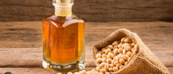soyaoil_1 Dünyanın Yemeklik Yağları