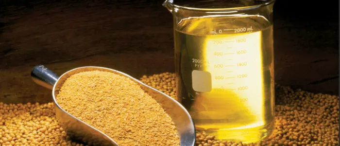 soyaoil_2 Dünyanın Yemeklik Yağları