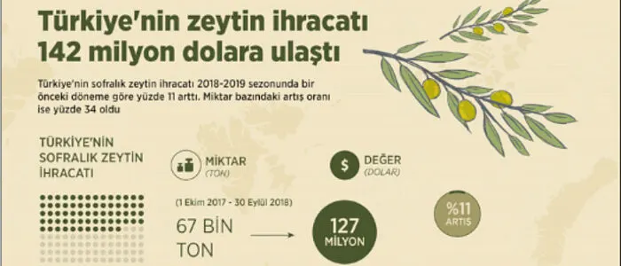 tr_zeytin_1 Türkiye’de Zeytin Yetiştiriciliği