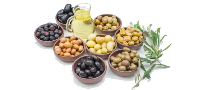 tr_zeytin_2 Türkiye’de Zeytin Yetiştiriciliği