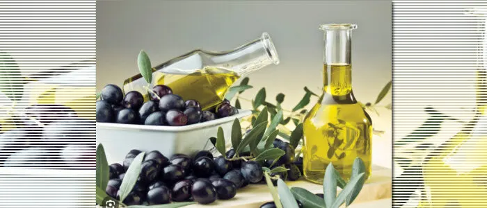 tr_zeytin_4 Türkiye’de Zeytin Yetiştiriciliği