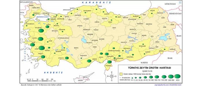 tr_zeytin_5 Türkiye’de Zeytin Yetiştiriciliği