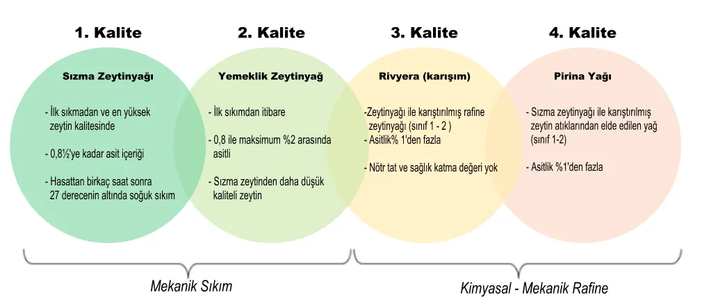 Kooperatifler: üreticilerin ortak zeytinyağı fabrikası