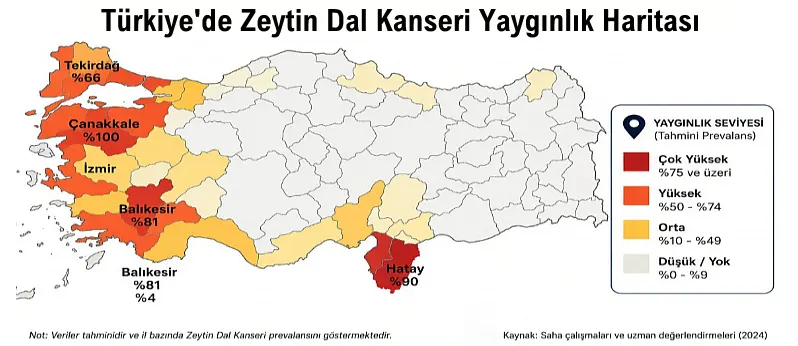 zeytin dal kanseri belirtileri
