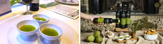 ZEYTİNYAĞI ÜRETİMİ DÜNYA ÜLKELERİ