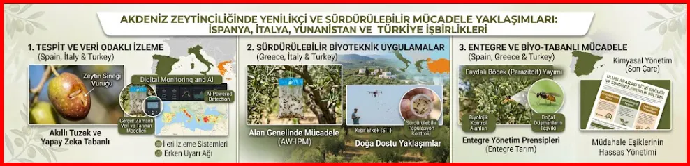 Zeytin sineği 2