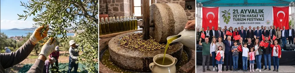 21. Ayvalık Zeytin Hasat Festivali