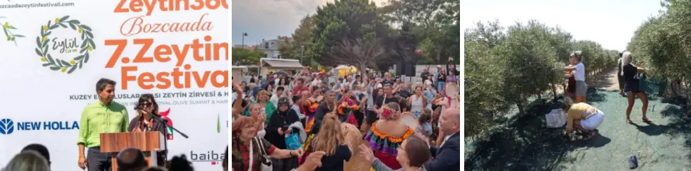 Bozcaada’da Bir İlk: Zeytin 360 Festivali’nde Adanın Zeytini Adada Yağa Dönüştü