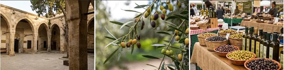 Tarsus Sarıulak Zeytin Festivali 23–25 Ekim’de