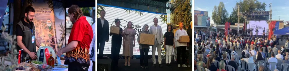 Apollon’un Gölgesinde Rekor Tadım: 8. Didim Zeytin Festivali Dört Gün Sürdü