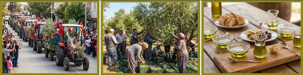 Eceabat Zeytinyağı Festivali: Yarımadada Hasat Şenliği