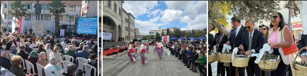 Eceabat Zeytinyağı Festivali: Yarımadada Hasat Şenliği