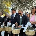 Eceabat Zeytinyağı Festivali: Yarımadada Hasat Şenliği