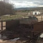 Pirinada Yağ Kaybı: Randımanı Atıkta Arayın
