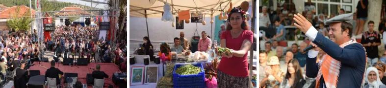 Saipler Zeytin Festivali 1 Kasım’da Torbalı’da