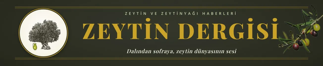 Zeytin Dergisi